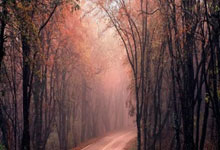 炒股杠杆怎么分成:股票开户那个软件好-冲刺科创板？宇树科技拟四季度提交IPO申请